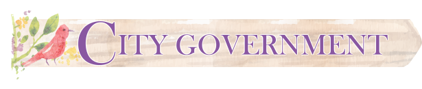 City government